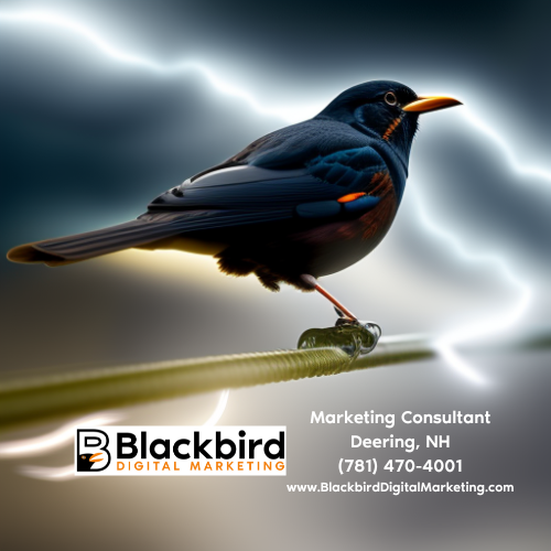 Blackbird Digital Marketing Blog Post - Lightening Icon