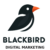 Blackbird Digital Marketing logo on White background